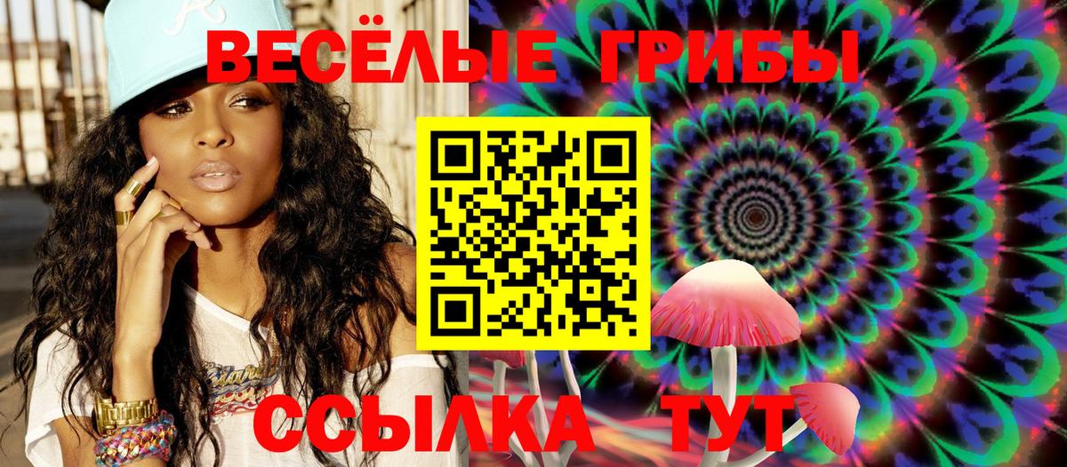 Боровичи  Псилоцибиновые грибы Psilocybine cubensis  Вход с VPN 