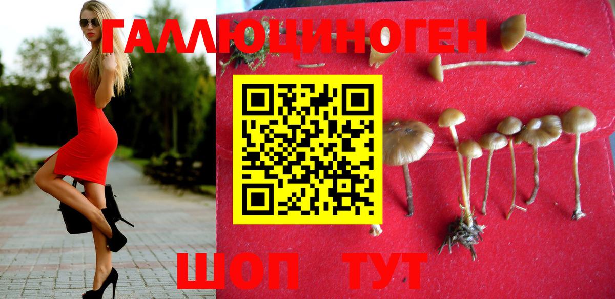 Галлюциногенные грибы мицелий Боровичи