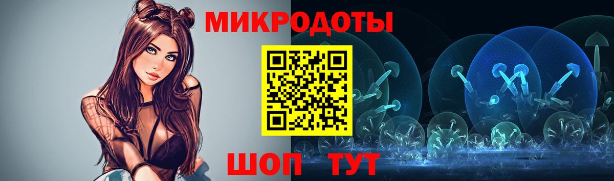 купить наркоту  Боровичи  Псилоцибиновые грибы GOLDEN TEACHER 