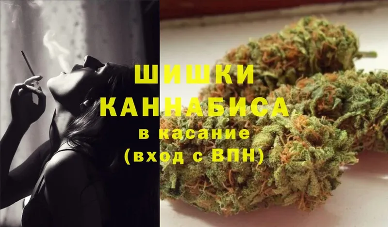 shop наркотические препараты  Боровичи  Шишки марихуана Bruce Banner 